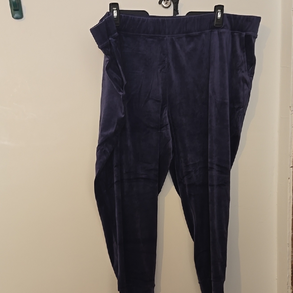 d & Co NWT 3XPetite Dark Blue Velvet Pants